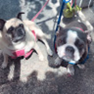 Meet your Posher, Mindy